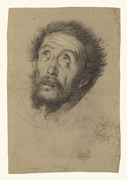 Head of Saint Francis, recto, Studies of the Head of Saint Francis, Head of an Old Man, and Two Right Hands, verso, Bernardo