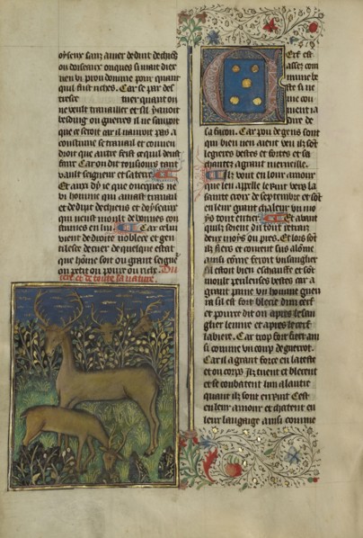 Deer; Brittany, France; about 1430 - 1440; Tempera colors, gold paint, silver paint, and gold leaf on parchment; Leaf: 26.4 x 18
