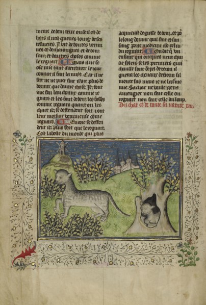 Wildcats; Brittany, France; about 1430 - 1440; Tempera colors, gold paint, silver paint, and gold leaf on parchment; Leaf: 26.4