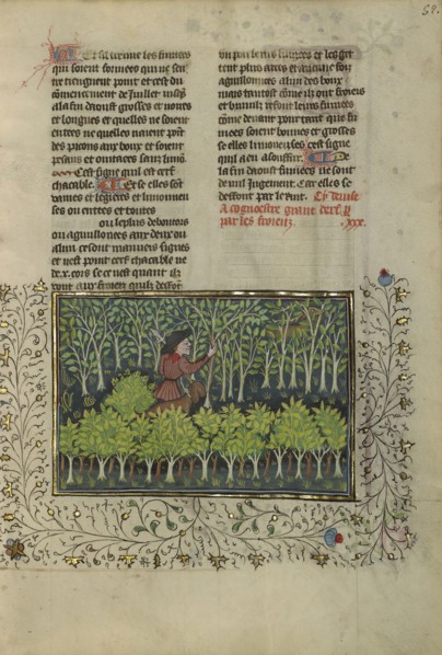 A Hunter and a Dog Examining a Deer's Fraying Place; Brittany, France; about 1430 - 1440; Tempera colors, gold paint, silver