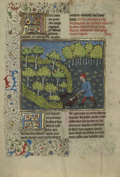 A Hunter Wounding a Wild Boar Caught in a Pit; Brittany, France; about 1430 - 1440; Tempera colors, gold paint, silver paint
