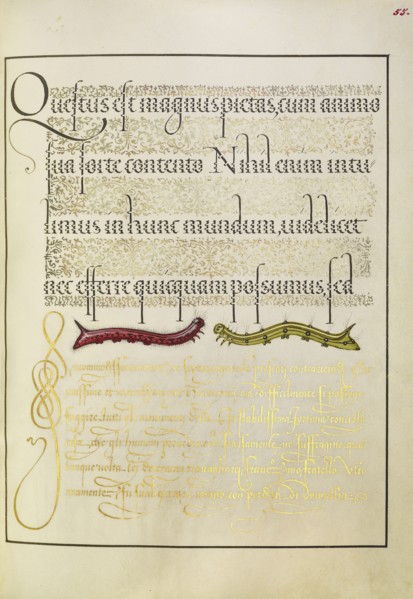 Caterpillars; Joris Hoefnagel, Flemish , Hungarian, 1542 - 1600, and Georg Bocskay, Hungarian, died 1575, Vienna, Austria