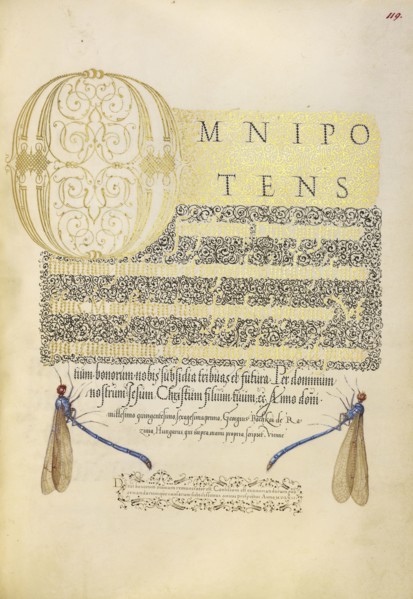 Damselflies; Joris Hoefnagel, Flemish , Hungarian, 1542 - 1600, and Georg Bocskay, Hungarian, died 1575, Vienna, Austria; 1561