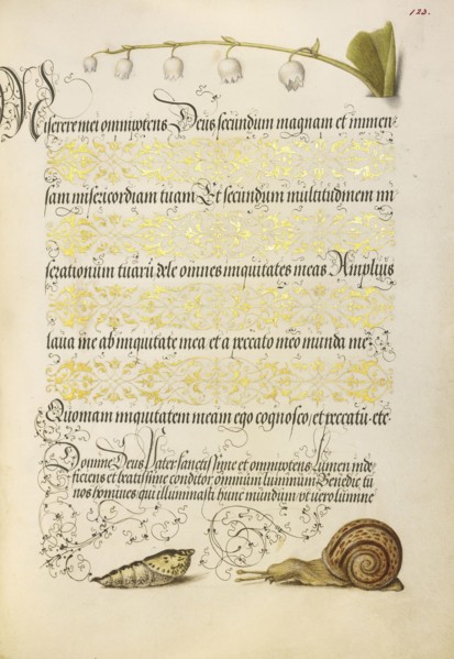 Lily-of-the-Valley, Pupa, and Land Snail; Joris Hoefnagel, Flemish , Hungarian, 1542 - 1600, and Georg Bocskay, Hungarian