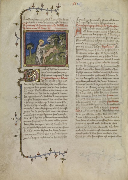 The Creation of Adam; Master of Jean de Mandeville, French, active 1350 - 1370, Paris, France; about 1360 - 1370; Tempera