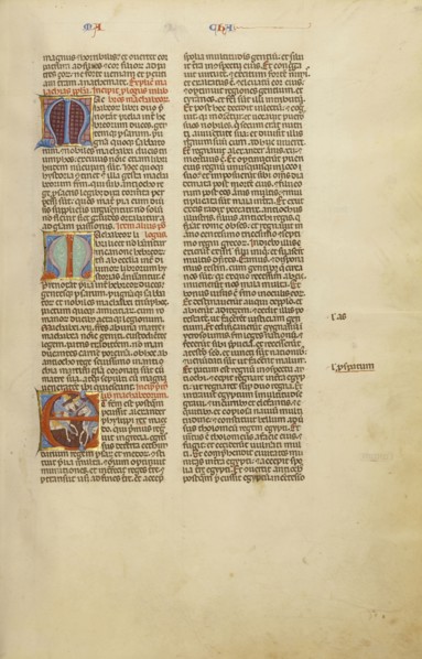 Initial E: Two Knights Fighting; Bologna, Emilia-Romagna, Italy; about 1280 - 1290; Tempera colors, gold leaf, and ink