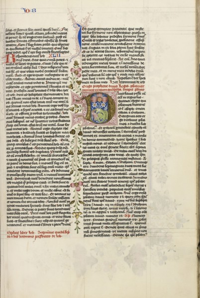 Initial D: David Playing the Harp; Circle of Stefan Lochner, German, died 1451, Cologne, Germany; about 1450; Gold leaf