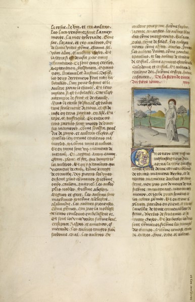 The Creation of Plants; Ghent, Belgium; about 1475; Tempera colors, gold leaf, and gold paint on parchment; Leaf: 43.8 x 30.5 cm