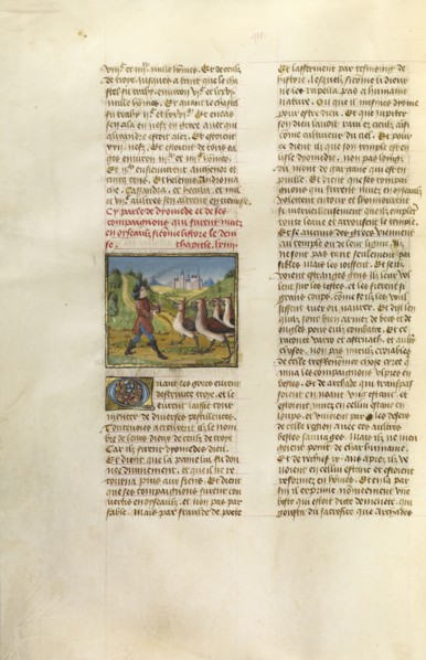 The Companions of Diomedes Changed to Geese; Ghent, Belgium; about 1475; Tempera colors, gold leaf, and gold paint on parchment