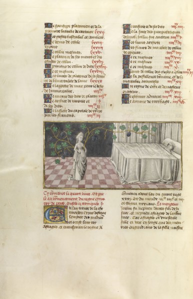 The Dream of Astyages; Ghent, Belgium; about 1475; Tempera colors, gold leaf, and gold paint on parchment; Leaf: 43.8 x 30.5 cm