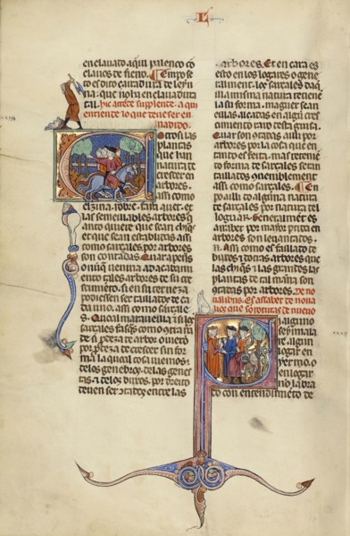 Initial E: Riders on Horseback; Initial S: A Judge and Men with Axes in a Vineyard; Unknown, Michael Lupi de Çandiu, Spanish