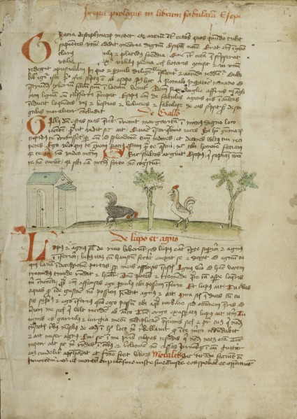 A Rooster Pecking at the Ground; Trier, probably, Germany; third quarter of 15th century; Pen and black ink and colored washes