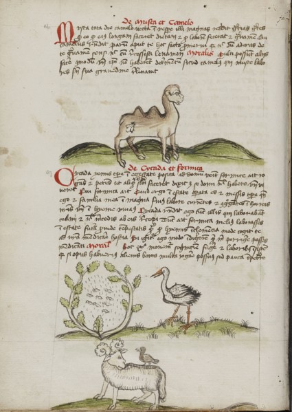 A Camel with a Fly on its Back; Insects in a Vineyard and a Stork Nearby; A Ram with a Crow on its Back; Trier