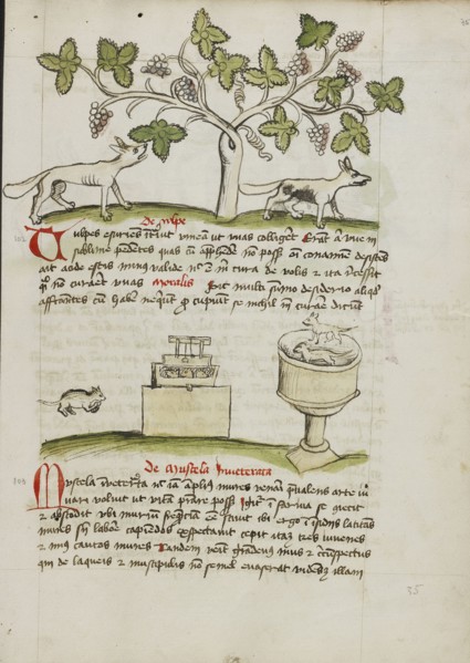 A Weasel and Several Captured Mice; Trier, probably, Germany; third quarter of 15th century; Pen and black ink and colored
