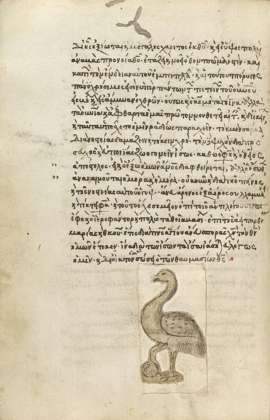 A Crane; Crete, Greece; 1510 - 1520; Pen and red lead and iron gall inks, watercolors, tempera colors, and gold paint on paper