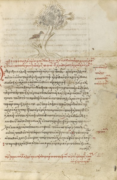 A Bird Sitting in a Tree; Crete, Greece; 1510 - 1520; Pen and red lead and iron gall inks, watercolors, tempera colors, and gold