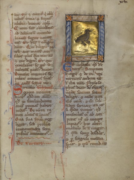 A Turtle Dove; Thérouanne ?, France, formerly Flanders, Europe; about 1270; Tempera colors, gold leaf, and ink on parchment