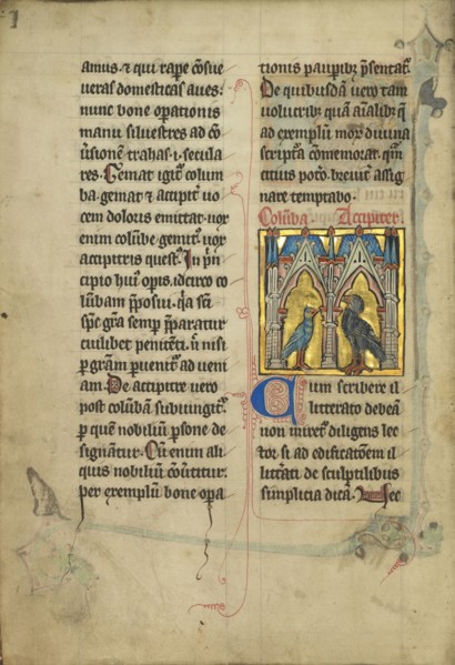 A Dove and a Falcon; Thérouanne ?, France, formerly Flanders, fourth quarter of 13th century, after 1277, Tempera colors, pen
