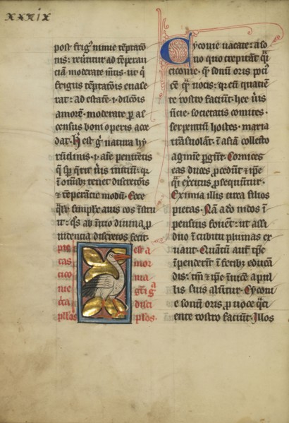 A Stork; Thérouanne ?, France, formerly Flanders, fourth quarter of 13th century, after 1277, Tempera colors, pen and ink