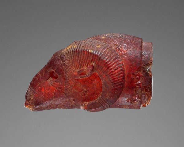 Pendant: Ram's Head; Italy; 525 - 480 B.C; Amber; 36 × 20 × 18 mm, 9 kg, 1 7,16 × 13,16 × 11,16 in., 19.8414 lb