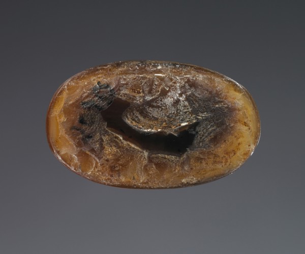 Cameo with a Lion; Roman Empire; 1st - 3rd century; Sardonyx; 2.3 × 1.4 × 1.1 cm, 7,8 × 9,16 × 7,16 in