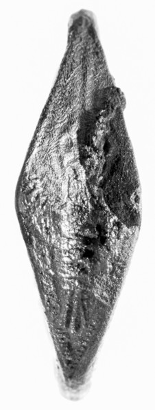 Ring; second half of 6th century B.C; Silver; 2.2 cm, 0.0028 kg, 7,8 in., 0.0062 lb