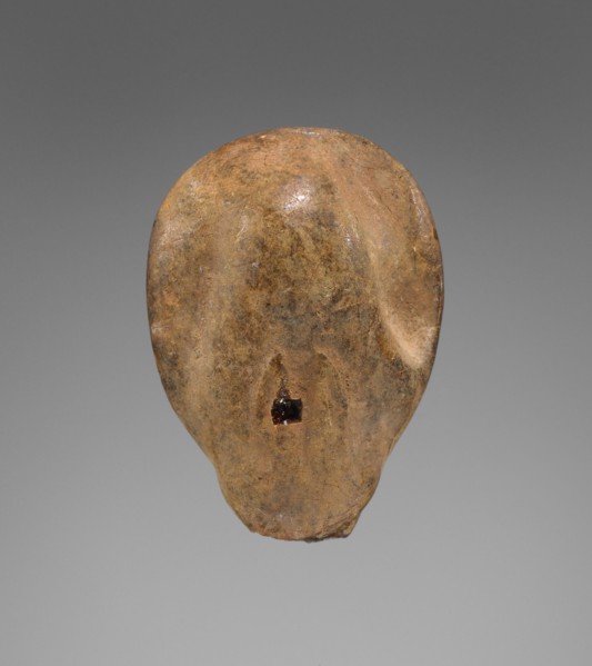 Pendant: Cowrie Shell , Hare; Italy; 600 - 500 B.C; Amber; 37 × 26 × 14 mm, 1 7,16 × 1 × 9,16 in