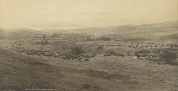 Throwing Rangers to the Round-up, Big Dry, Montana; Laton Alton Huffman, American, 1854 - 1931, 1907; Hand-colored gelatin