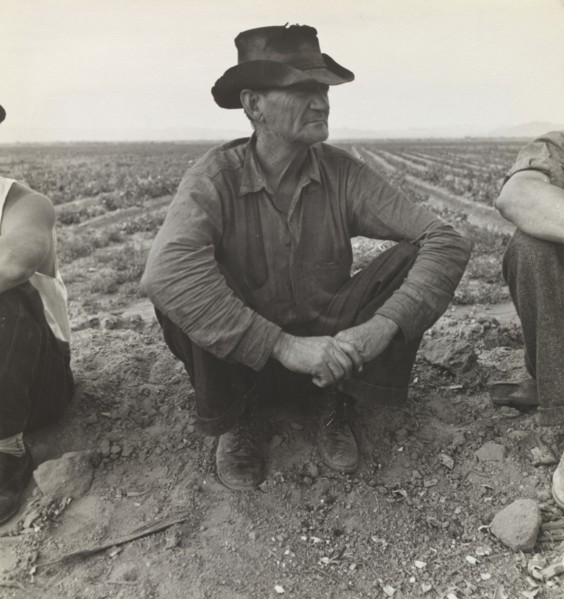 Waiting for Work on Edge of the Pea Field, Holtville, Imperial Valley, California; Dorothea Lange American, 1895 - 1965