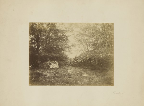 Landscape study; Eugène Cuvelier, French, 1837 - 1900, about 1855; Albumen silver print