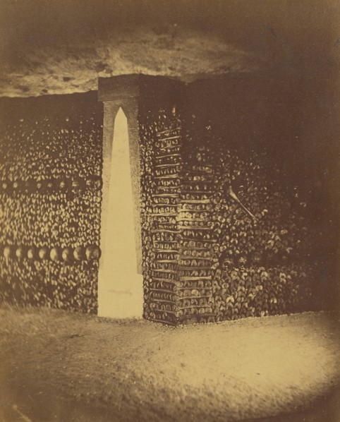 Layers of Tibias; Nadar, Gaspard Félix Tournachon, French, 1820 - 1910, 1861; Albumen silver print