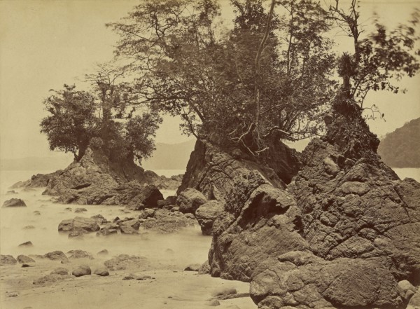 Tropical Scenery, Islands, Limon Bay; John Moran, American, born England, 1829 - 1902, 1871; Albumen silver print