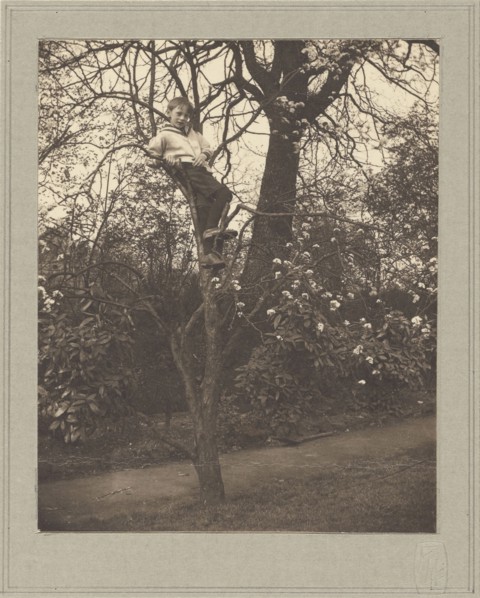 Evan Evans; Frederick H. Evans, British, 1853 - 1943, about 1900; Brown toned platinum print; 11.3 x 9 cm, 4 7,16 x 3 9,16 in