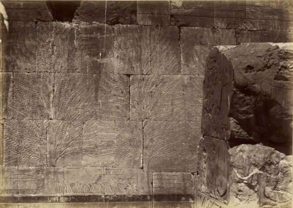Dec el Bahari; Antonio Beato, English, born Italy, about 1835 - 1906, 1860 - 1869; Albumen silver print