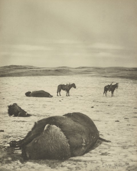 After the Chase, North Montana Range, M.T. Jan 82; Laton Alton Huffman, American, 1854 - 1931, negative January 1882; print