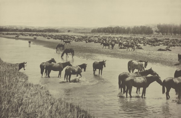 Hot Noon beside the Round-up camp; Laton Alton Huffman, American, 1854 - 1931, negative July 19, 1904; print 1907; Gravure