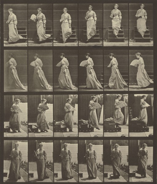 Animal Locomotion; Eadweard J. Muybridge, American, born England, 1830 - 1904, 1887; Collotype; 26.4 x 24.3 cm