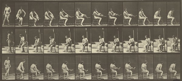 Animal Locomotion; Eadweard J. Muybridge, American, born England, 1830 - 1904, 1887; Collotype; 17.3 x 39.8 cm