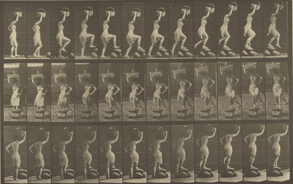 Animal Locomotion; Eadweard J. Muybridge, American, born England, 1830 - 1904, 1887; Collotype; 21.4 x 34 cm