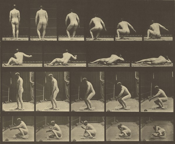 Animal Locomotion; Eadweard J. Muybridge, American, born England, 1830 - 1904, 1887; Collotype; 23.8 x 29.7 cm