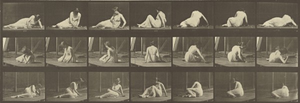 Animal Locomotion; Eadweard J. Muybridge, American, born England, 1830 - 1904, 1887; Collotype; 14.9 x 43.8 cm