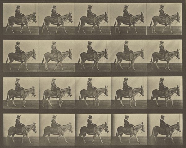 Animal Locomotion; Eadweard J. Muybridge, American, born England, 1830 - 1904, 1887; Collotype; 23.8 x 29.5 cm