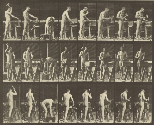 Animal Locomotion; Eadweard J. Muybridge, American, born England, 1830 - 1904, 1887; Collotype; 23.7 x 29.5 cm