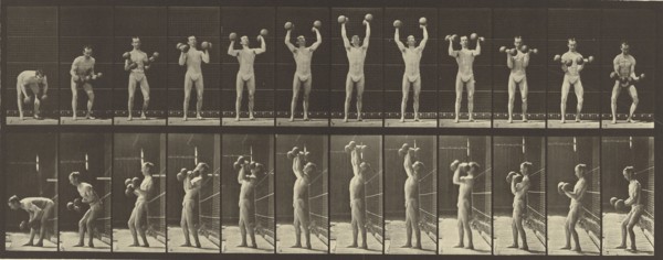 Animal Locomotion; Eadweard J. Muybridge, American, born England, 1830 - 1904, 1887; Collotype; 16.2 x 42.5 cm