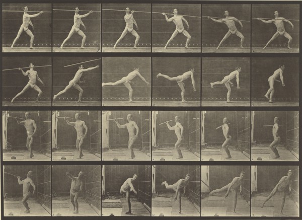 Animal Locomotion; Eadweard J. Muybridge, American, born England, 1830 - 1904, 1887; Collotype; 22.4 x 31.3 cm