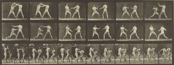 Animal Locomotion; Eadweard J. Muybridge, American, born England, 1830 - 1904, 1887; Collotype; 16.2 x 44.8 cm