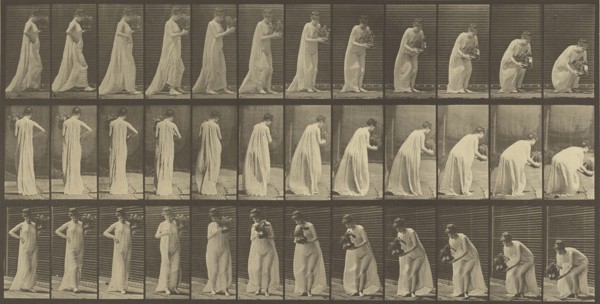 Animal Locomotion; Eadweard J. Muybridge, American, born England, 1830 - 1904, 1887; Collotype; 18.4 x 36.8 cm