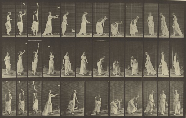 Animal Locomotion; Eadweard J. Muybridge, American, born England, 1830 - 1904, 1887; Collotype; 21.1 x 33.8 cm