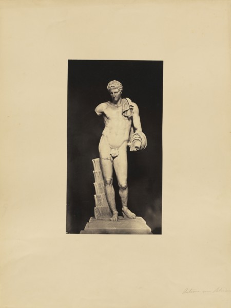 Belvedere Antonius; James Anderson, British, 1813 - 1877, Rome, Italy; about 1845 - 1855; Albumen silver print