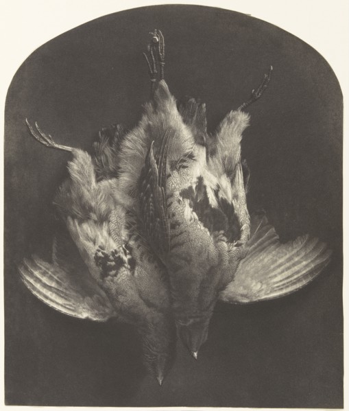 The First of September , A Brace of Grouse; William Lake Price, British, 1810 - 1896, 1857; Photogalvanograph; 29.2 x 24.4 cm